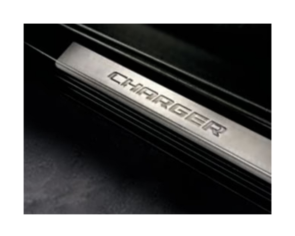 PROTECTOR-DOOR ENTRY