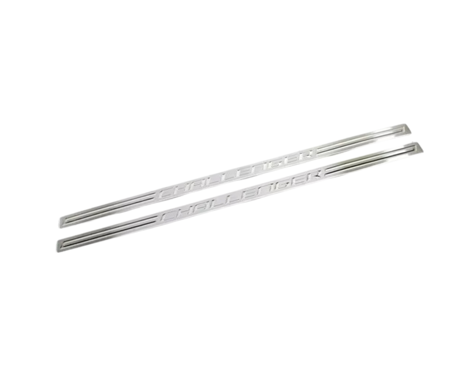 PROTECTOR-DOOR ENTRY